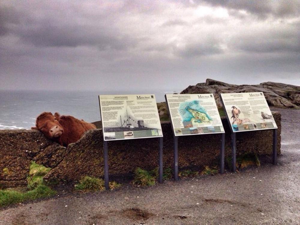 The Strand Hotel Ballyliffin Esterno foto